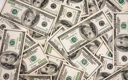 سعر الدولار فى مصر اليوم