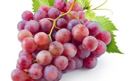  فوائد العنب البناتي